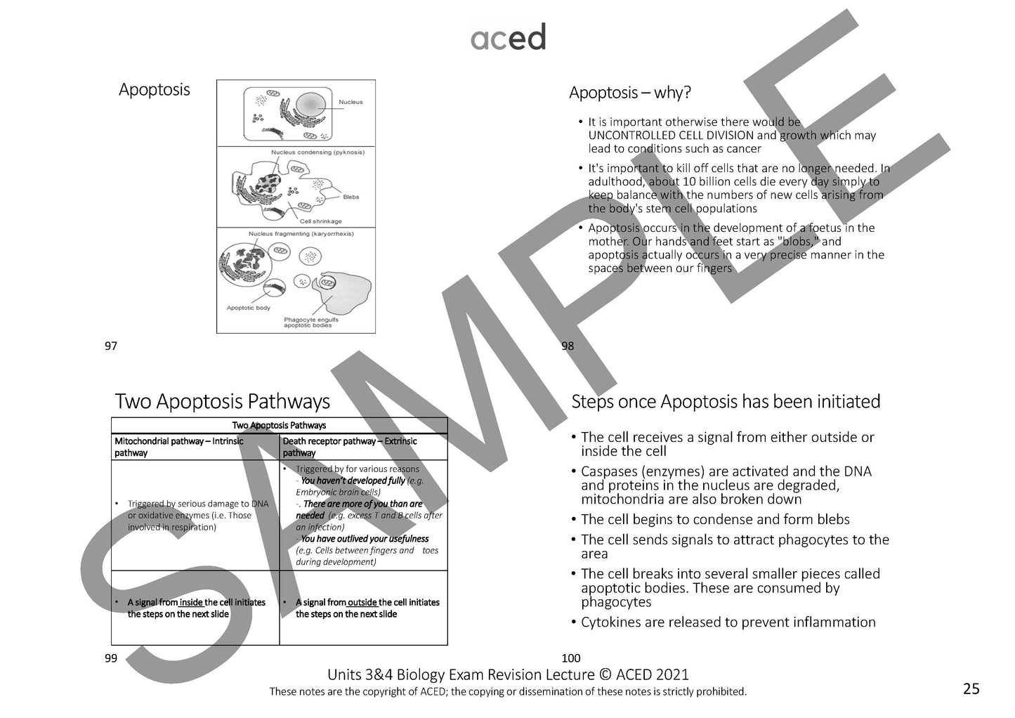 Units 3&4 Biology Exam Revision Notes 2025